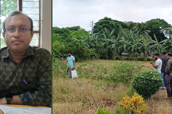 কালীগঞ্জ হাসপাতালে হাজিরা দিয়েই মাঠে চিকিৎসক, ওষুধ কোম্পানির প্রতিনিধিদের দিয়ে করাচ্ছেন কৃষিকাজ!