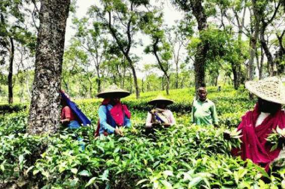 রায়পুরে প্রেমের টানে ইন্দোনেশিয়ান নারী! রাসেলের সাথে বিবাহবন্ধনে আবদ্ধ