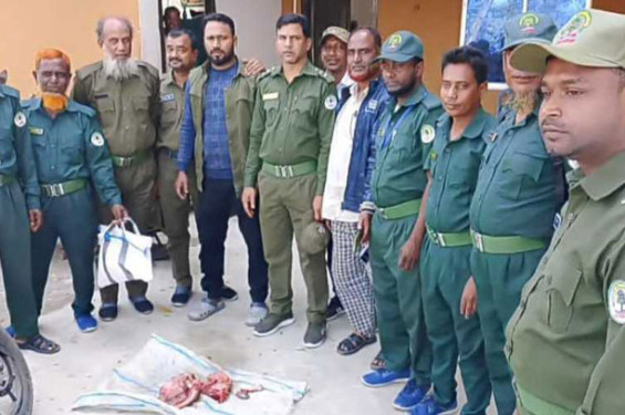 শ্যামনগরে বনবিভাগের অভিযানে হরিণের মাংস উদ্ধার