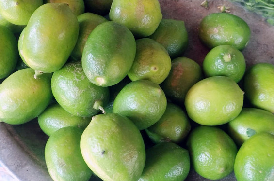 রোজার আগেই লেবুর দামে আগুন