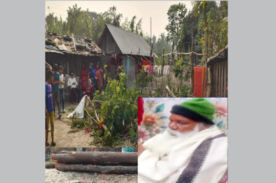 অবৈধভাবে সরকারি প্লটের গাছ কাটার অভিযোগ