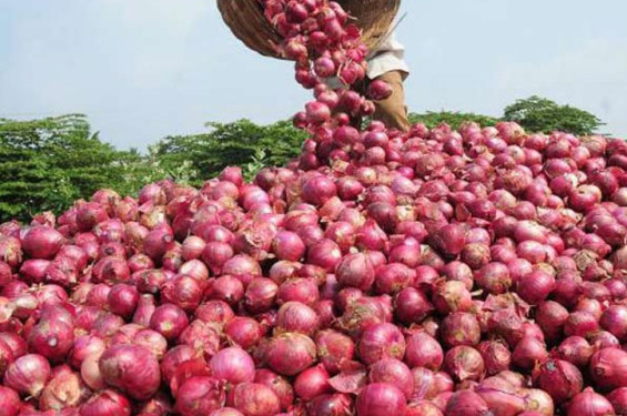 পেঁয়াজ আমদানির অনুমতি বাড়ালো সরকার