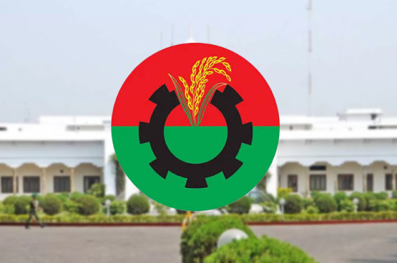 রাষ্ট্রপতির বিষয়ে যে সিদ্ধান্ত নিলো বিএনপির স্থায়ী কমিটি
