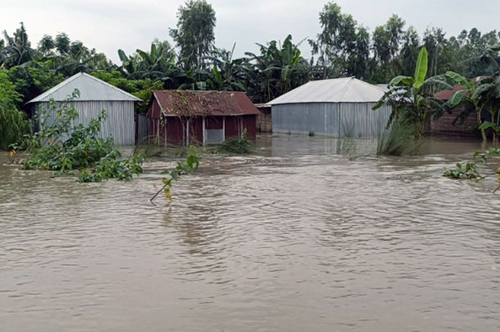 পদ্মায় পানি বেড়ে ৩ জেলায় বন্যা