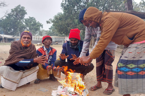 কুড়িগ্রামে শীতের দাপটে বিপর্যস্ত নিম্ন ও দরিদ্র জনগোষ্ঠী