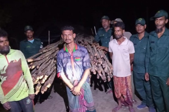 সুন্দরবনের কর্তন নিষিদ্ধ গরান পাচারের সময় তিন চোরাকারবারি আটক