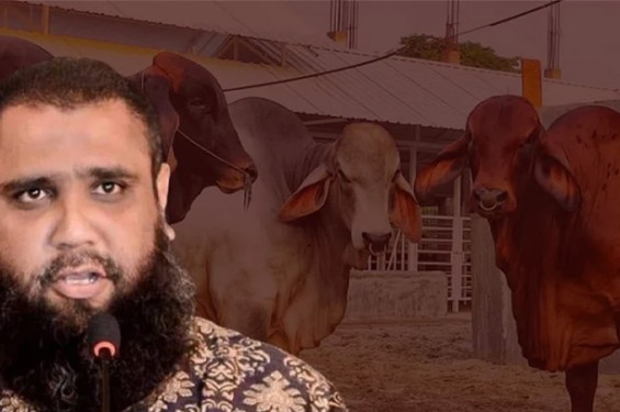 সাদিক অ্যাগ্রোর চেয়ারম্যান ইমরান গ্রেপ্তার