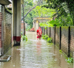 টানা বৃষ্টিতে শার্শার বিভিন্ন এলাকা প্লাবিত, তলিয়ে গেছে আমন ক্ষেত