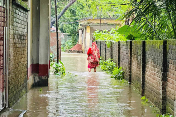 টানা বৃষ্টিতে শার্শার বিভিন্ন এলাকা প্লাবিত, তলিয়ে গেছে আমন ক্ষেত