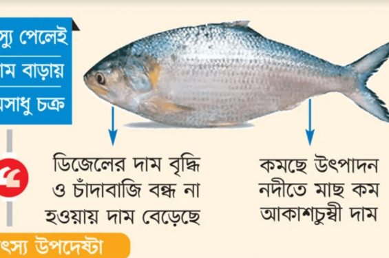 ইলিশ যেন বিলাসী পণ্য