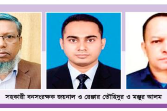 চট্টগ্রামের বনবিভাগে হয়না কোন দুনীতির তদন্ত-বিচার