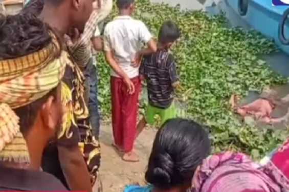 ব্রাহ্মণবাড়িয়ায় নদী থেকে অর্ধগলিত ভাসমান লাশ উদ্ধার