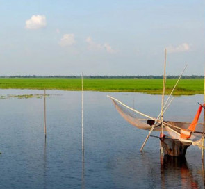 সিরাজগঞ্জে রবিশস্য চাষ নিয়ে দুশ্চিন্তায় কৃষকরা