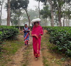 তীব্র  শীতে কাঁপছে সিলেট