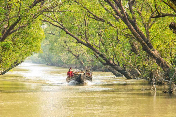 সবার জন্য খুলছে সুন্দরবনের দ্বার