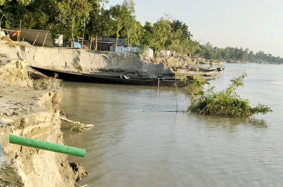 যমুনার ভাঙনে দিশেহারা শাহজাদপুরের ৯ গ্রামের মানুষ