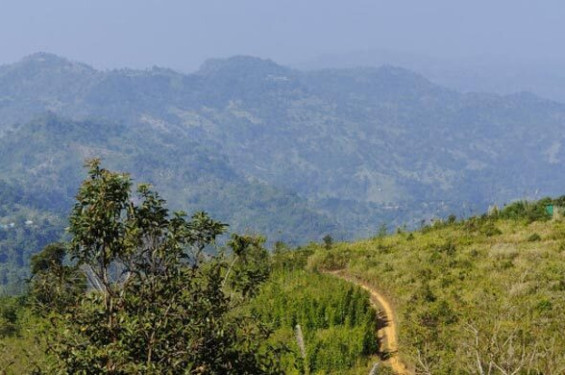 থানচিতে যৌথ বাহিনীর সঙ্গে কেএনএফের গোলাগুলি