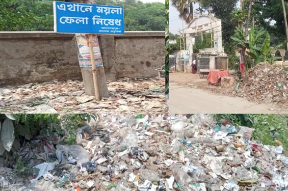 নাগরপুর সরকারি কলেজ মসজিদ সংলগ্ন  সীমানায় ময়লার ভাগাড়; শিক্ষার্থী ও মুসল্লিদের উদ্বেগ
