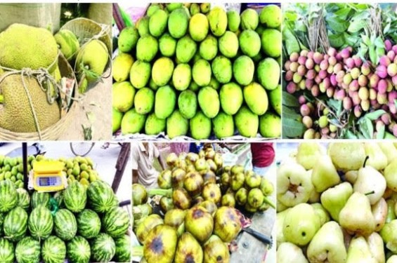 বেনাপোলে মধুমাস জ্যৈষ্ঠের শুরু