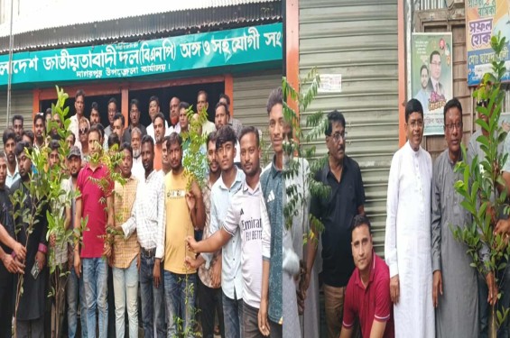 নাগরপুরে ছাত্রদলের উদ্যোগে বৃক্ষরোপণ কর্মসূচির উদ্বোধন