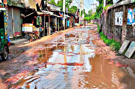 ৭ বছর ধরে সংস্কার হয়নি ঘোড়াশাল -ডাঙ্গা সড়ক,জনদুর্ভোগ চরমে