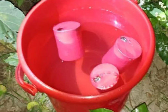 শার্শায় পরিত্যক্ত অবস্থায় তিনটি ককটেল বোমা উদ্ধার, তদন্ত শুরু পুলিশের