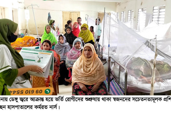 হোমনায় ডেঙ্গুর প্রকোপ বৃদ্ধি, হাসপাতালে ভর্তি ৮