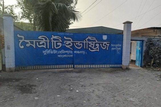 উত্তরাঞ্চলের সব চা কারখানা দুই মাস বন্ধ থাকবে
