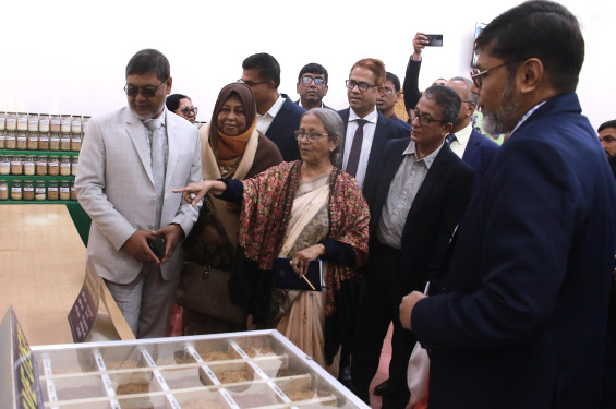 কৃষি জমির অপব্যবহার রোধ ও দেশীয় ধান সংরক্ষণে জোর দিলেন মৎস্য উপদেষ্টা