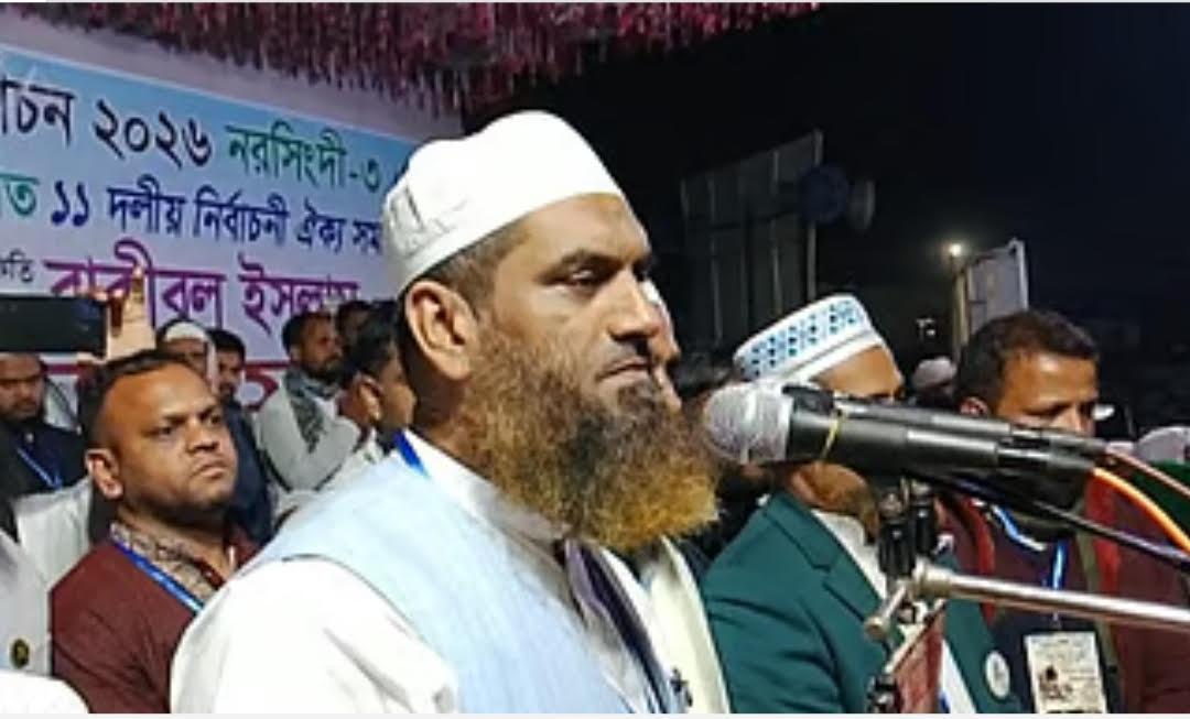 রাজনীতিকে সন্ত্রাস ও দুর্নীতি গ্রাস করেছে: মামুনুল হক