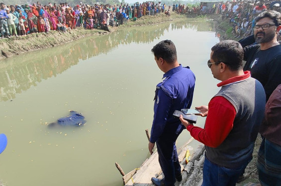পটুয়াখালীর বাউফলে একজনকে ভাসমান লাশ উদ্ধার