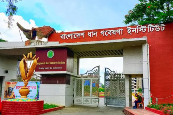 লিখিত-ব্যবহারিক পরীক্ষায় ‘প্রক্সি’, যোগদানে ধরা খেলেন সুজা মিয়া