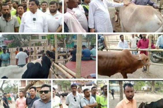 ১৭ বছর পর ফের সচল হচ্ছে ঐতিহ্যবাহী শার্শা নাভারণ পশুর হাট