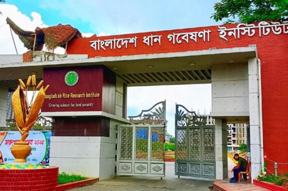 ব্রি’র নেতৃত্ব সংকটে মহাপরিচালক পদে নিয়োগে স্বচ্ছতা নিয়ে বাড়ছে সংশয়