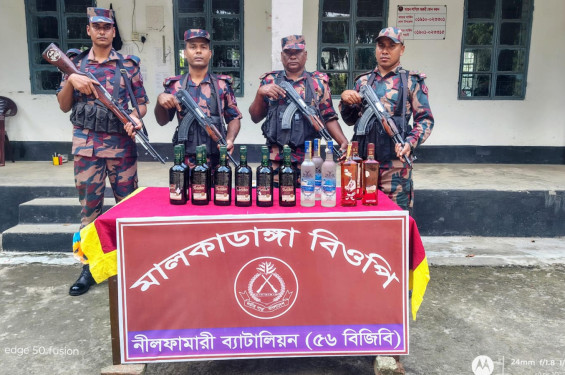 পঞ্চগড়ের সীমান্তে বিজিবির অভিযানে ভারতীয় মদসহ গরু জব্দ