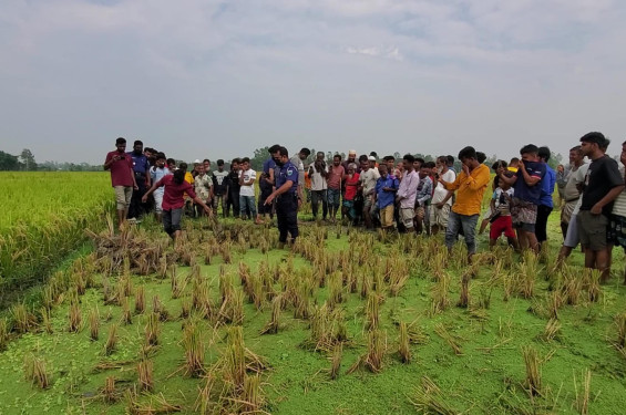 জয়পুরহাটে ফসলি মাঠ থেকে হাত-পা বাঁধা অজ্ঞাত ব্যক্তির মরদেহ উদ্ধার