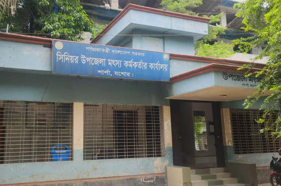 ছয় পদের চারটিই বছরের পর বছর শূন্য : দীর্ঘদিন জনবল সংকটে ধুঁকছে শার্শা উপজেলা মৎস্য অফিস