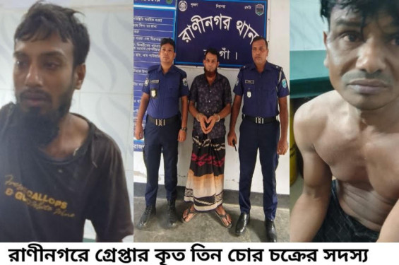 রাণীনগরে গরু চুরির ঘটনায় গ্রেপ্তার ৩
