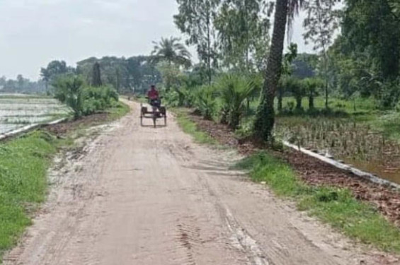 জয়পুরহাটের কালাইয়ে নিম্নমানের ইটের সড়ক, এক মাসেও অপসারণ হয়নি