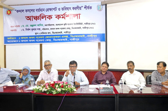 কন্দাল ফসলের উৎপাদন ও গবেষণায় গুরুত্বারোপ