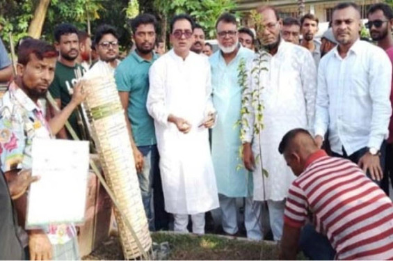 বেনাপোলে পৌর বিএনপির বৃক্ষরোপণ কর্মসূচি