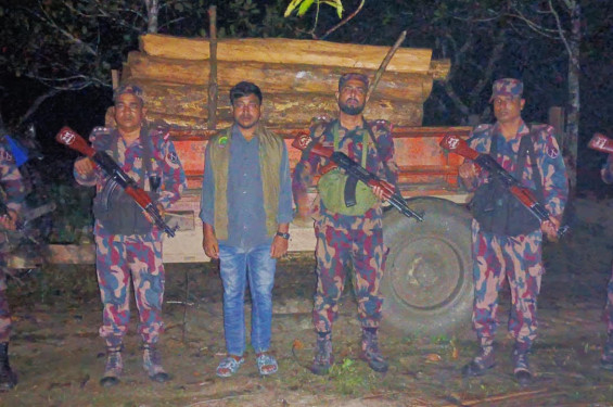 আলীকদমে যৌথ অভিযানে কাঠ চোরাকারবারিদের বড় ধাক্কা