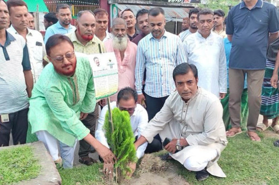 বেনাপোলকে পরিচ্ছন্ন ও সবুজ করতে ৫০ হাজার বৃক্ষরোপণের উদ্যোগ, ৩ মাসে ১০ হাজার রোপণ