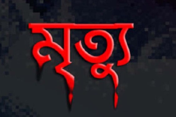 মহেশপুরে পানিতে ডুবে দুই শিশু মৃত্যু