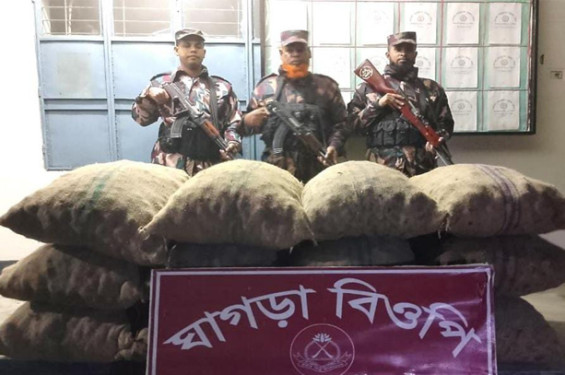 পঞ্চগড় সীমান্তে ভারতীয় ৮০৪ কেজি আলু আটক