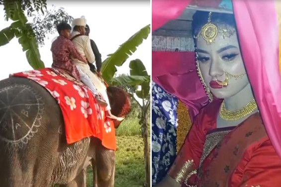 ‘শখ পূরণে হাতি-ঘোড়ার শোভাযাত্রায় পালকিতে বিয়ে’