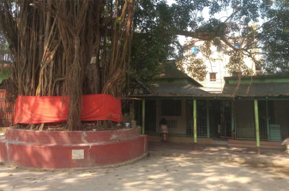 নবীনগরে মন্দিরে চুরি, আটক ১