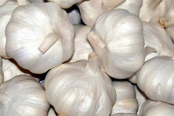 সীমান্ত দিয়ে ভারতে পাচার হচ্ছে রসুন