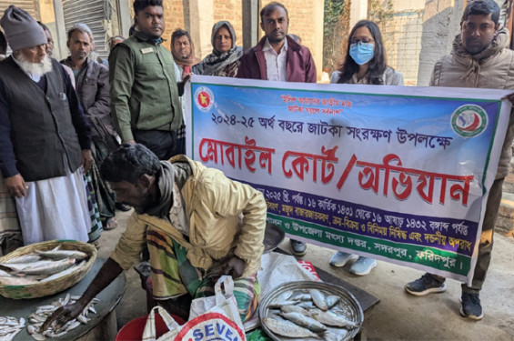 ফরিদপুরে  ২ মন জাটকা ইলিশ জব্দ, জরিমানা