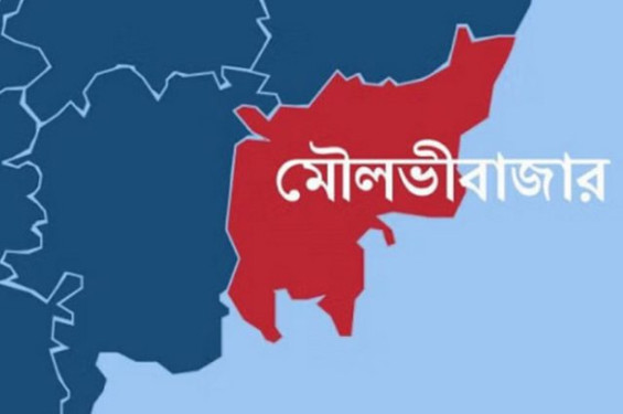 কুলাউড়া সীমান্তে বাংলাদেশীকে কুপিয়ে হত্যা